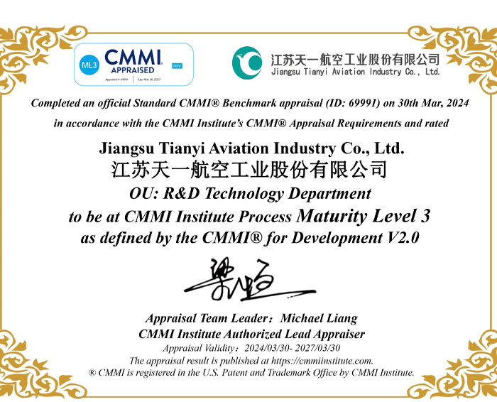 CMMI BEWERTET